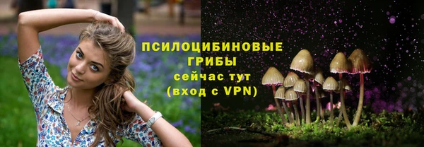 тгк Балабаново